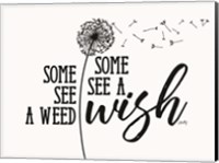 Framed Wish