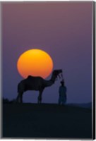 Framed Camel and Person at Sunset, Thar Desert, Rajasthan, India