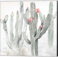 Framed Cactus Garden Gray Blush II