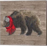 Framed Warm in the Wilderness Bear