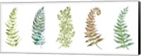 Framed Botanical Ferns Panel