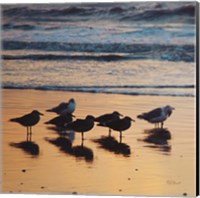 Framed Kalaloch Birds I