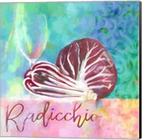 Framed 'Radicchio - Italian Chicory' border=