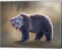 Framed Grizzly Bear Boar