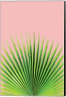 Framed Pink Palm I