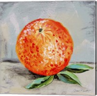 Framed 'Abstract Kitchen Fruit 6' border=