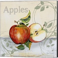 Framed 'Tutti Fruiti Apples' border=