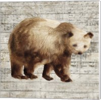 Framed 'Crossing Bear I' border=