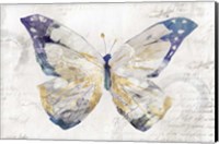 Framed Butterfly Effect I