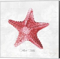 Framed Red Starfish