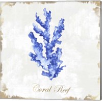 Framed 'Blue Sea Coral' border=