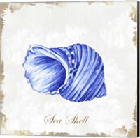 Framed Blue Seashell
