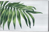 Framed Tropical Leaf I