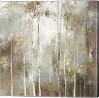 Framed 'Fine Birch I' border=