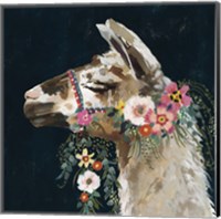 Framed 'Lovely Llama II' border=