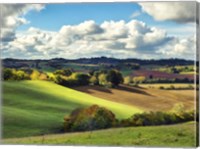 Framed Pastoral Countryside III