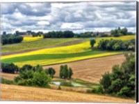 Framed Pastoral Countryside VIII