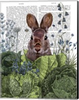 Framed Cabbage Patch Rabbit 6