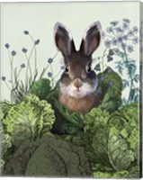 Framed Cabbage Patch Rabbit 4
