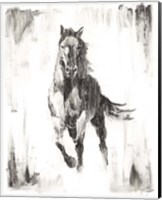 Framed 'Rustic Black Stallion II' border=