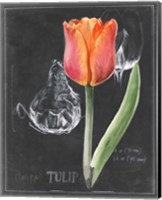 Framed Chalkboard Flower III