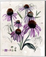 Framed 'Purple Wildflowers II' border=