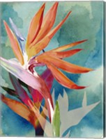 Framed Vivid Birds of Paradise II