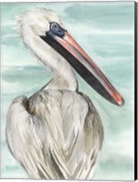 Framed Turquoise Pelican I