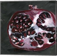 Framed 'Pomegranate Study on Black I' border=