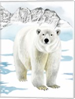 Framed Arctic Animal II