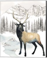 Framed Winter Elk I