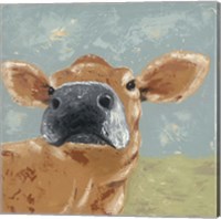 Framed 'Farm Life-Cow' border=