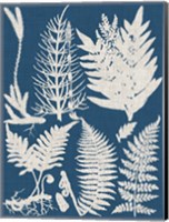 Framed Linen & Blue Ferns II
