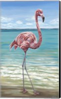 Framed Beach Walker Flamingo I