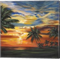 Framed 'Stunning Tropical Sunset II' border=