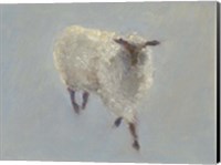 Framed Sheep Strut II
