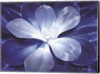 Framed Blue Succulent II