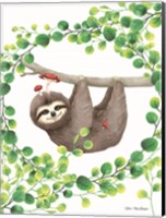 Framed Hanging Around Sloth I