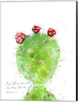 Framed Cactus Verse IV