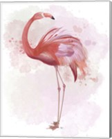 Framed 'Fluffy Flamingo 3' border=