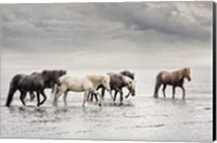 Framed Water Horses IV