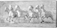 Framed Water Horses V