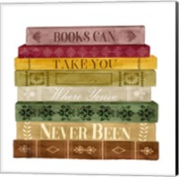 Framed 'Book Lover II' border=