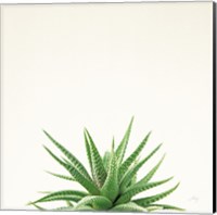 Framed Succulent Simplicity I Neutral