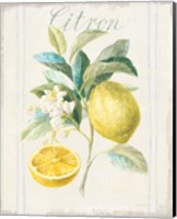 Framed Floursack Lemon IV v2