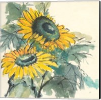 Framed 'Sunflower I' border=
