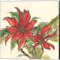 Framed Poinsettia II