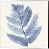 Framed Forest Ferns I Blue