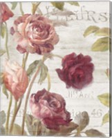 Framed 'French Roses II' border=