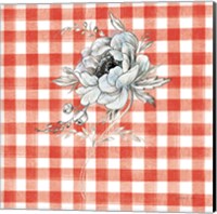Framed Sketchbook Garden VIII Red Checker